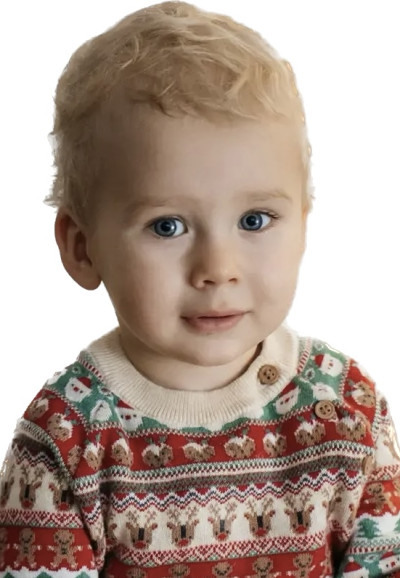 Владимир Мазуров